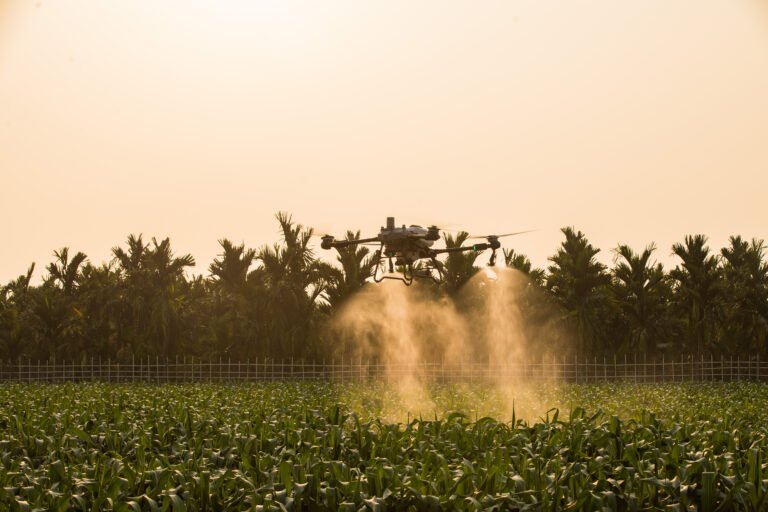 talos t60x sunset spray